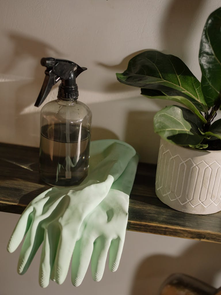 Low-Tox Life: 11 Small but Powerful Home Product Swaps